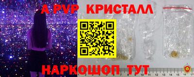 spice Кунгур