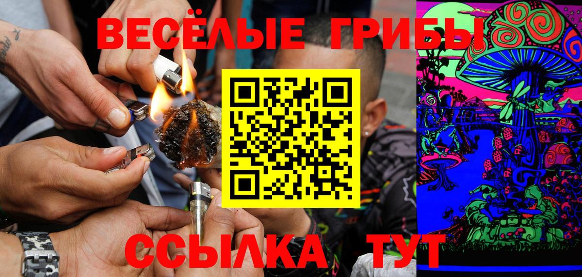 Псилоцибиновые грибы Psilocybe  купить закладку  Вход с VPN  Железноводск  Галлюциногенные грибы мицелий 